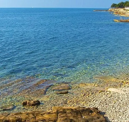 Novak Poreč